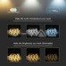 LED лента 12V 5050-60led/m , невлагозащитена IP20, RGB+W(4000K)