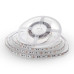 LED лента 12V 5050-60led/m, невлагозащитена IP20, 4500K