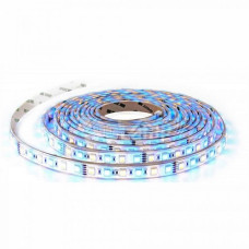 LED лента 12V 5050-60led/m , невлагозащитена IP20, RGB+W(4000K)