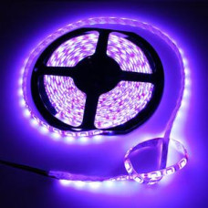 LED лента 12V 5050-60led/m, невлагозащитена IP20, синя